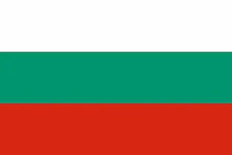 bg flag